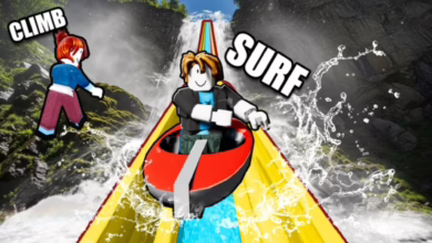 Kayak and Surf