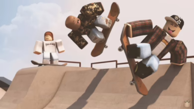 Skateboard Simulator