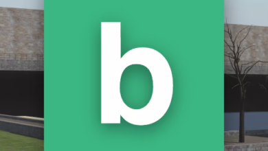 Blox Mod