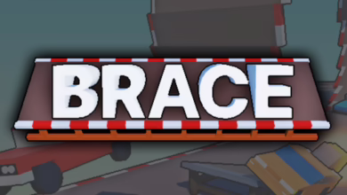 Brace
