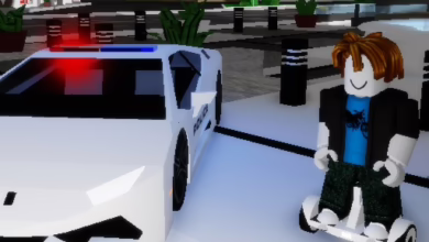 Onlyhaven 2 (free cars) OPENED!