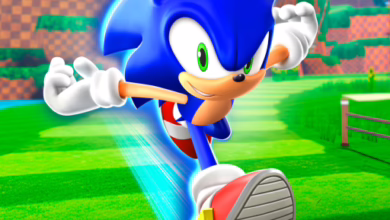 Sonic Speed Simulator