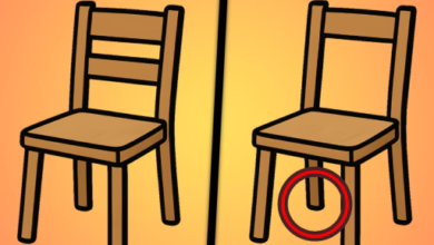 Spot The Differences!