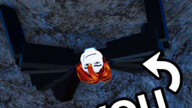 You Are Spider (Test Playground)