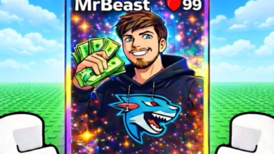 Youtuber Card Collection