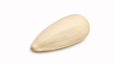 Be A Seed? 2 Be A Seed?