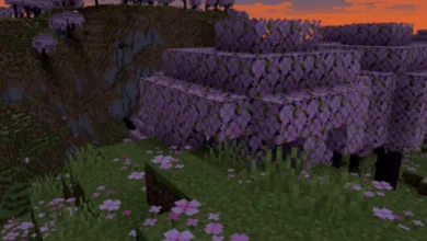 Minecraft 1.20.6 5 Minecraft 1.20.6
